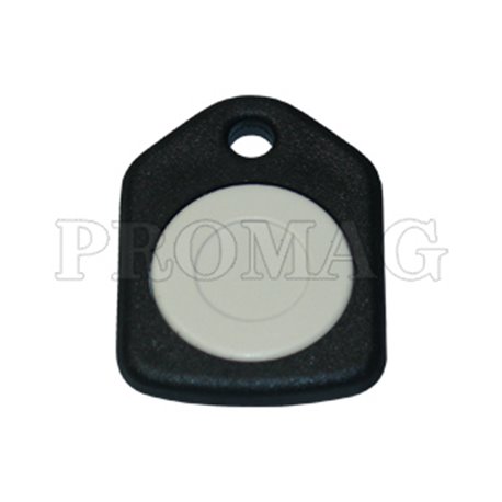 RFID KeyFobs GITAG1-25K