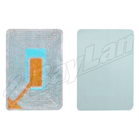 EAS Paper Label BRLSU0602N