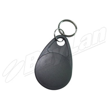 RFID KeyFobs BKFR02A11GY