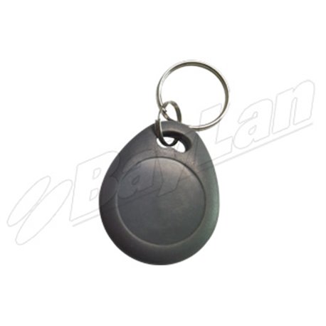 RFID KeyFobs BKFR03A11GY