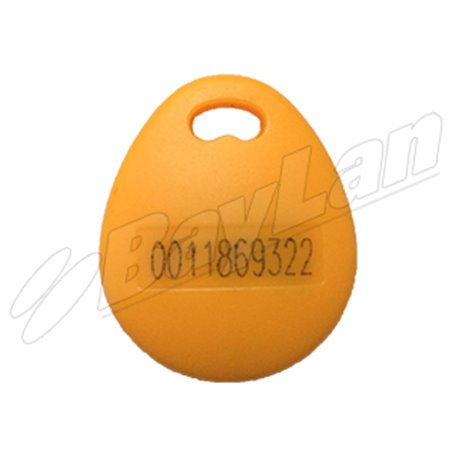 RFID KeyFobs BKFR03A11YL