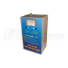 Stabilizer 3KVA EVR