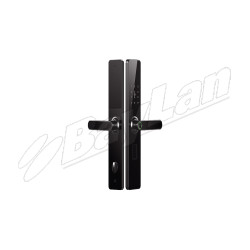 Smart Door Locks BSL01