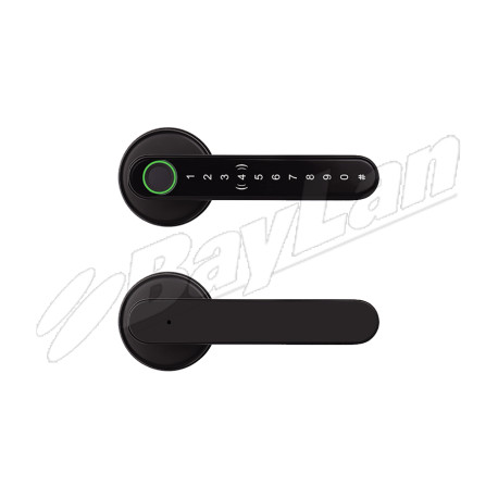 Smart Door Locks BSLC6