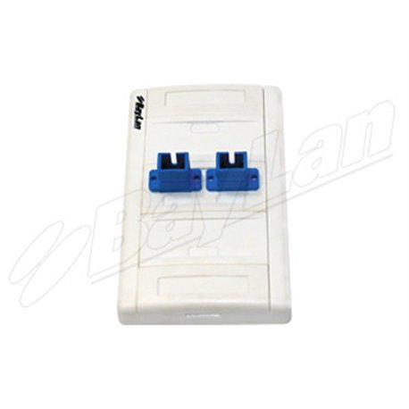 Face Plates BFFPLR2PWHSC